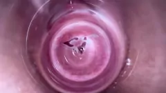 播放 深处的湿猫深处：特写恋物癖体验